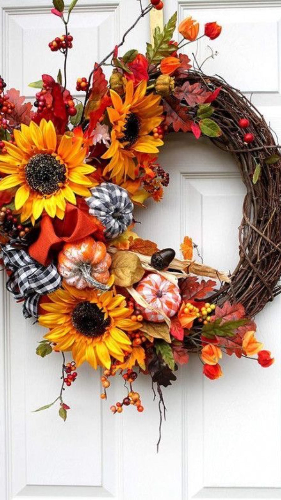 Sunflower And Pumpkins